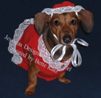 Designer Dog Clothes
