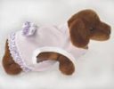 Designer Dog Clothes